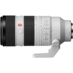 Sony FE 70-200mm f_2.8_ (7)